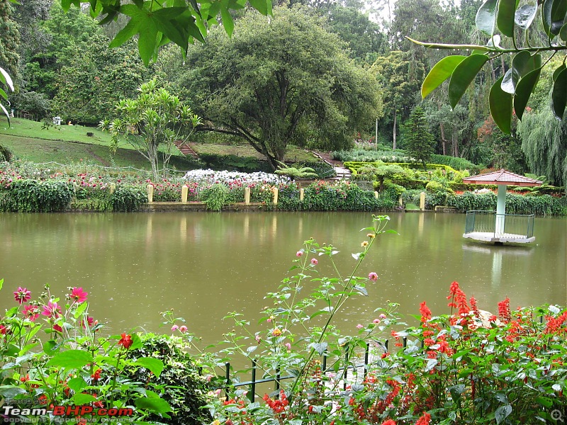 Ooty in rain! A trip thru Nanjangud, Bandipur and Brindavan Gardens while returning.-contactsheet17.jpg
