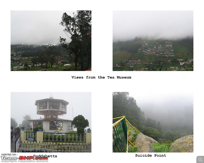 Ooty in rain! A trip thru Nanjangud, Bandipur and Brindavan Gardens while returning.-contactsheet21.jpg