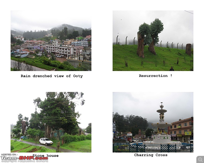Ooty in rain! A trip thru Nanjangud, Bandipur and Brindavan Gardens while returning.-contactsheet22.jpg