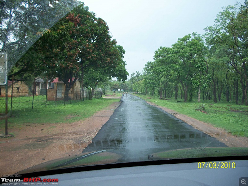 Hyderabad, Nagpur, Pench National park.-14.jpg