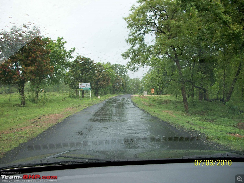 Hyderabad, Nagpur, Pench National park.-15.jpg