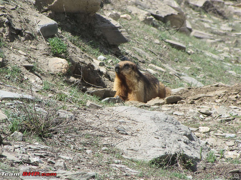 Leh-docked-img_0471.jpg