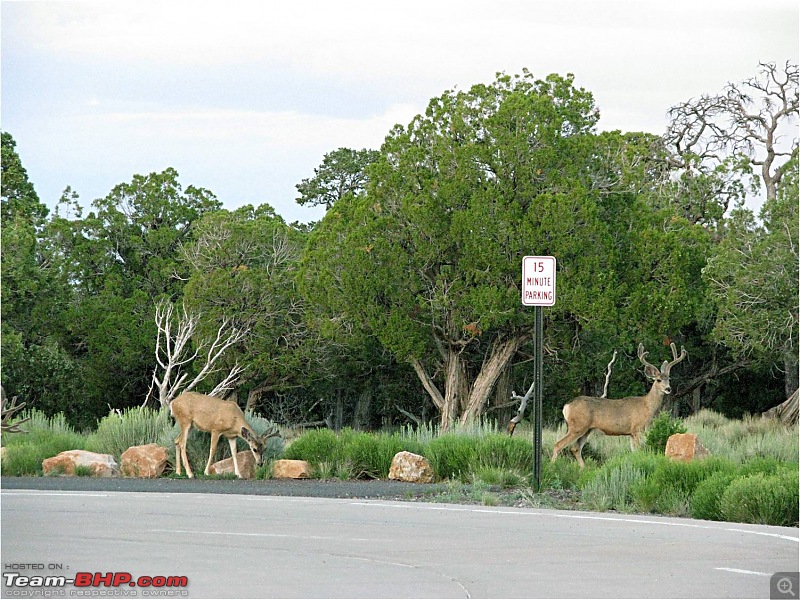 2400 Mile Adventure in Arizona (involving Grand Canyon) in 4 days-picture34.jpg