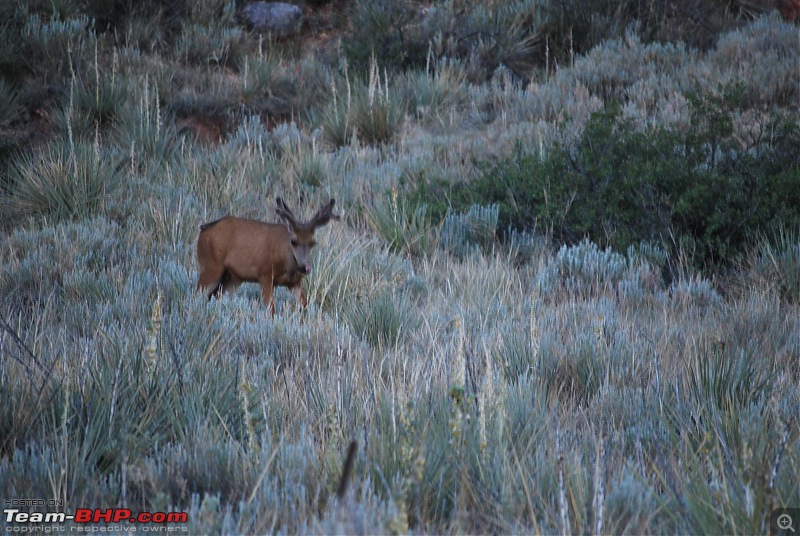 My Colorado Travelogue-dsc_0138_1936x1296.jpg