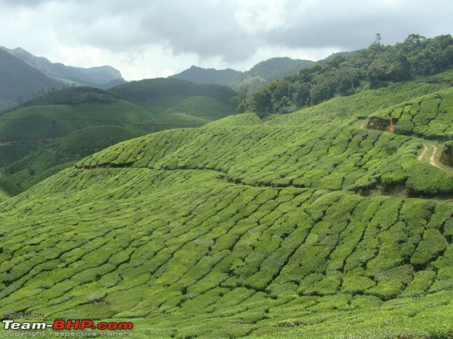 We dreamt it, we did it - Our 20 days family road trip to South in Black Tigress-dsc06557.jpg