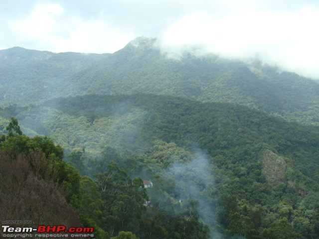 We dreamt it, we did it - Our 20 days family road trip to South in Black Tigress-dsc06524.jpg