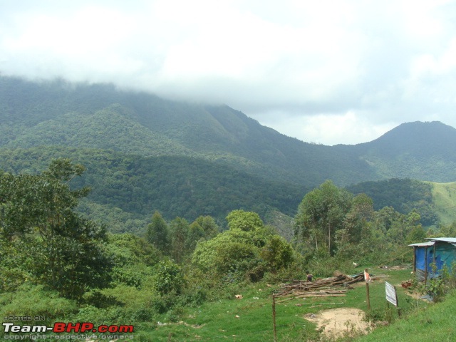 We dreamt it, we did it - Our 20 days family road trip to South in Black Tigress-dsc06541.jpg