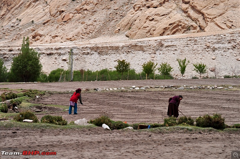 rkbharat's photolog for Leh 2010-hanle-10.jpg