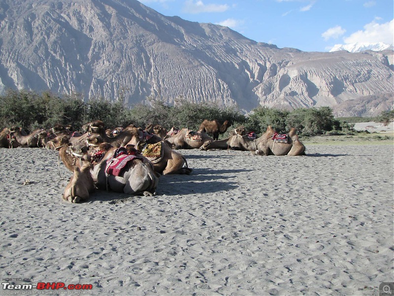 Leh-docked-img_0832.jpg