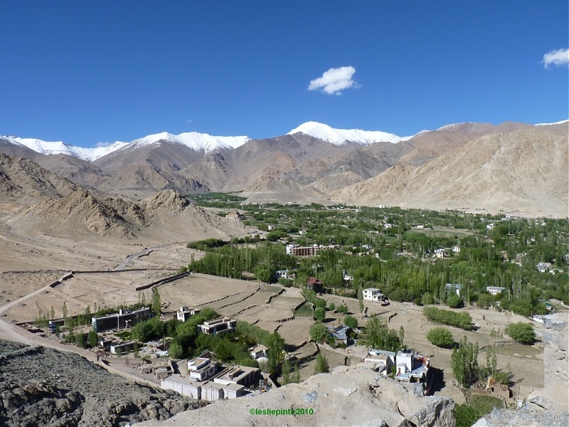 "Innova"ted Ladakh: A photologue-leh-big-stupa.jpg