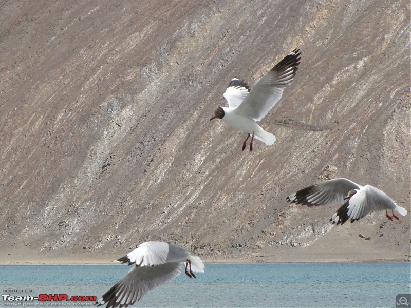 Leh-docked-img_1321.jpg