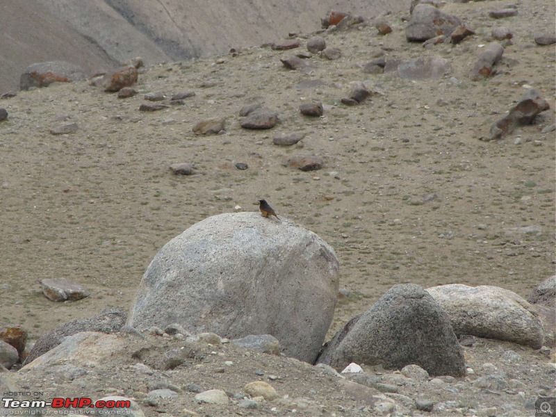 Leh-docked-img_1548.jpg