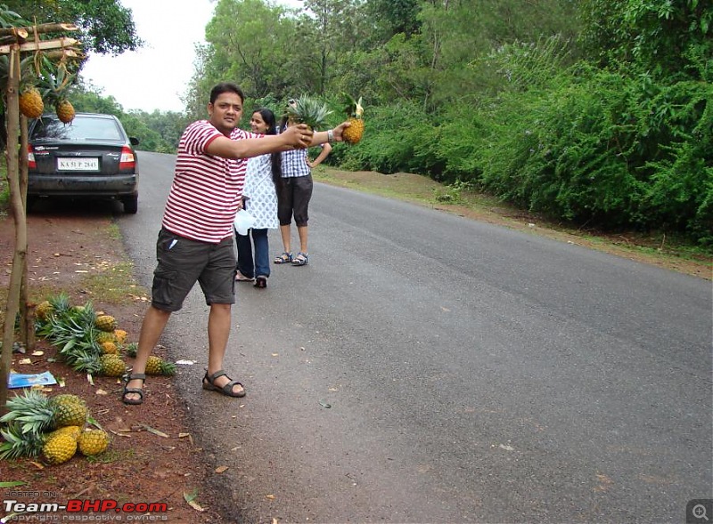 Foggy Jog, sweet pineapples, a few leeches and unkempt ruins!-1046.jpg