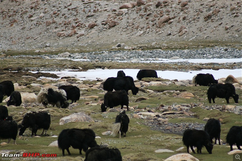 No SUV but don't want to miss Ladakh.-img_1288.jpg