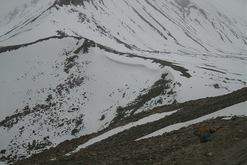 No SUV but don't want to miss Ladakh.-img_1177.jpg