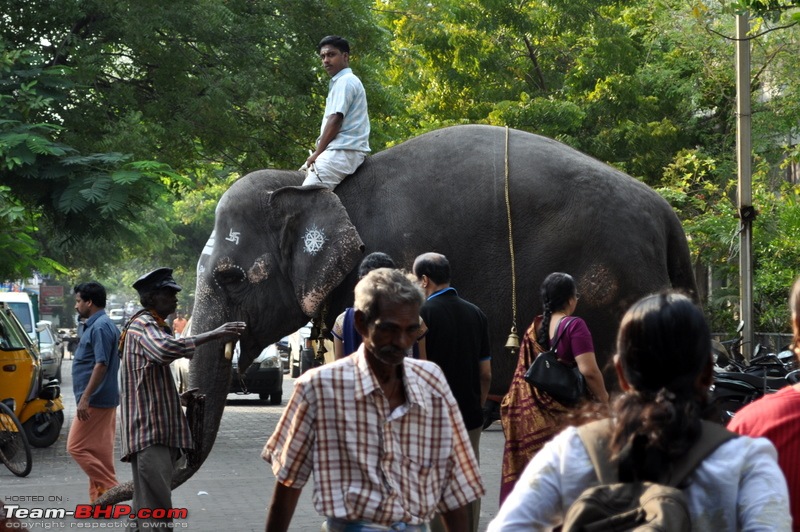 Weekend Excursions from Chennai (The Usual Suspects!)-dsc_0317.jpg