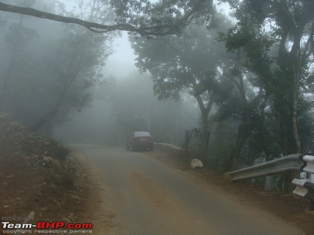 We dreamt it, we did it - Our 20 days family road trip to South in Black Tigress-dsc08150.jpg