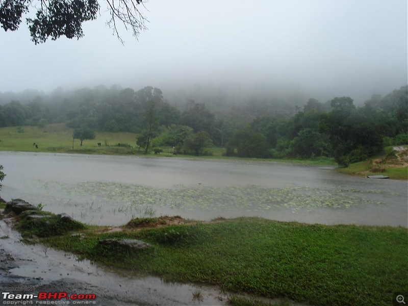 Unplanned weekend trips to Sringeri-Agumbe & Kaginahare-dsc08004.jpg