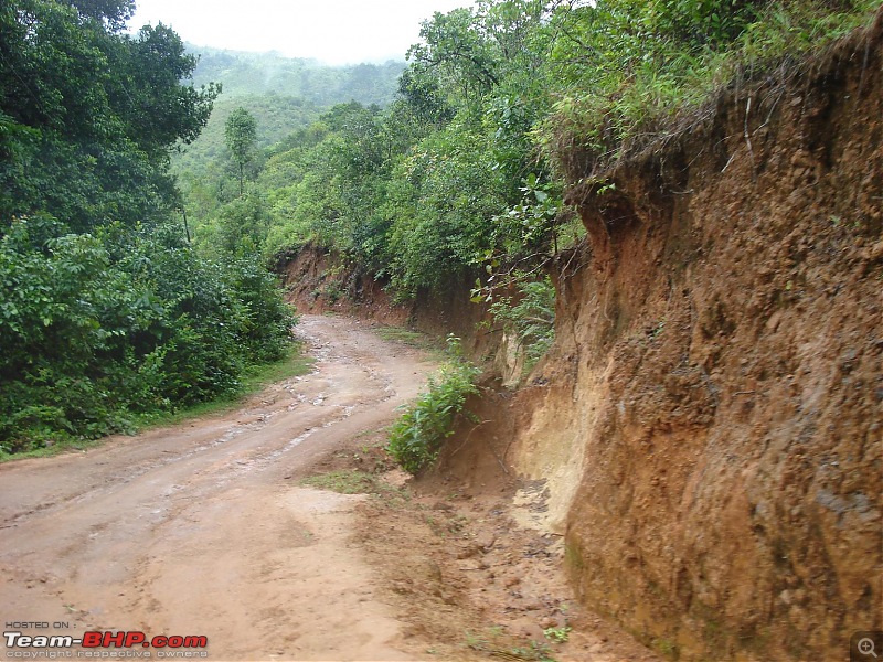 Unplanned weekend trips to Sringeri-Agumbe & Kaginahare-dsc08015.jpg