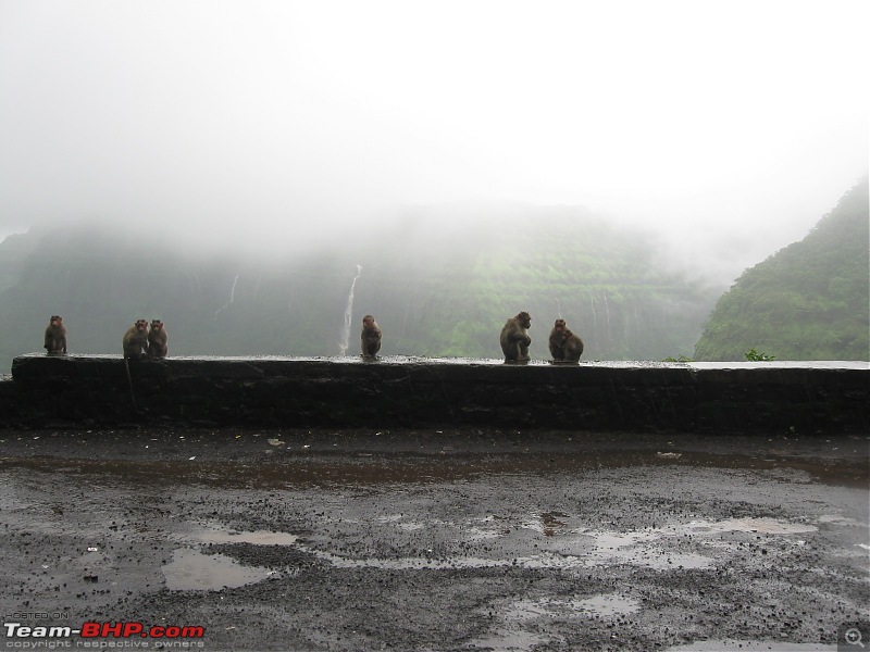 Waterfalls special round trip- Pune-Varandha ghat-Shivtharghal-Tahimini-Pune-img_4359.jpg