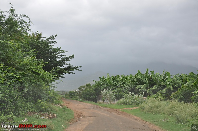 Thekkady Vacation - Four days, three nights, two places, one family-dsc_0418.jpg