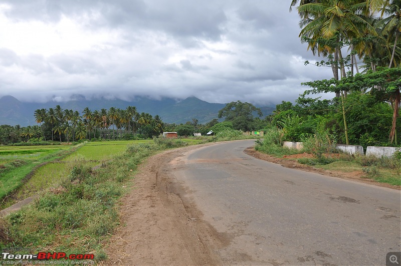 Thekkady Vacation - Four days, three nights, two places, one family-dsc_0444.jpg