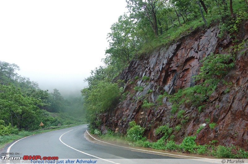 Weekend Travelogues: Bangalore - Srisailam-forestroadafterathmakur.jpg