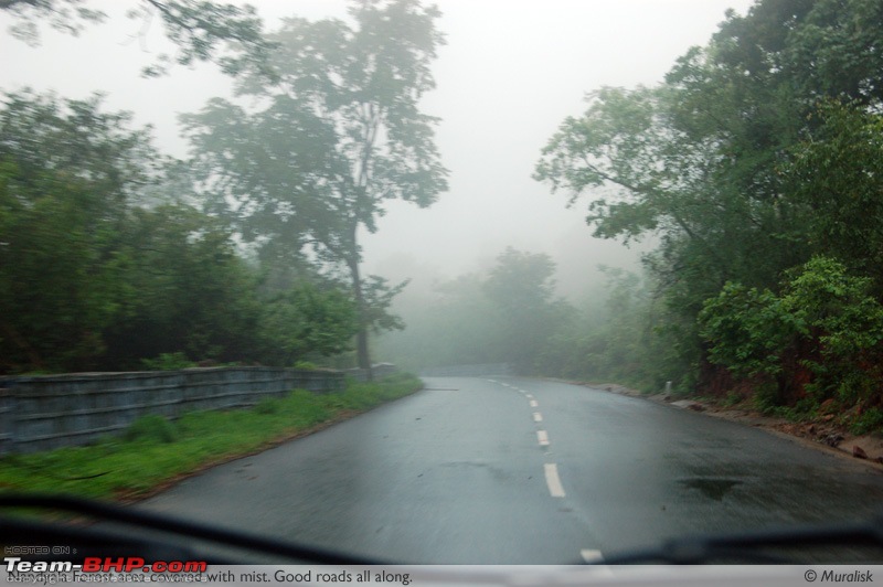 Weekend Travelogues: Bangalore - Srisailam-nandyalaforestarea.jpg