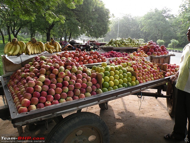 1 Family 1 car 9 Days (MH14, MH43, GJ01, RJ14, UP80, DL01, MP09, Shirdi, MH14) - Live-dscn3286.jpg