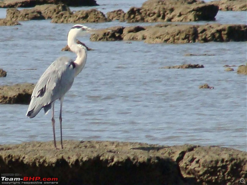 A Reef Full Of Life-hhh-pirotan-island-trip-32k80.jpg