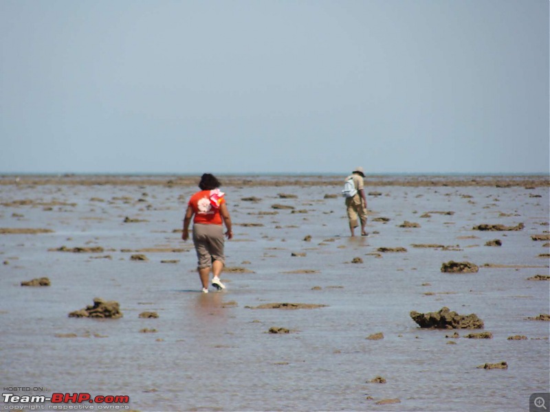 A Reef Full Of Life-hhh-pirotan-island-trip-47k80.jpg