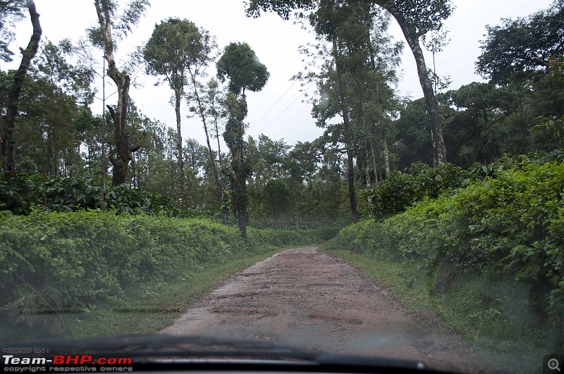 Our Coorg Sojourn-way2.jpg