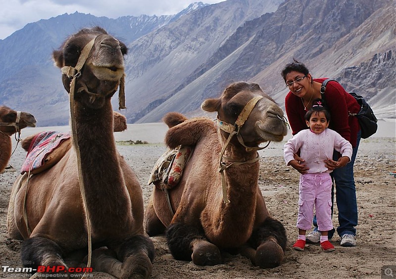 Ladakh- A family Holiday Pictorial!!-dsc05527.jpg