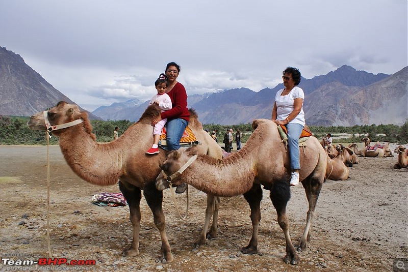 Ladakh- A family Holiday Pictorial!!-dsc05532.jpg