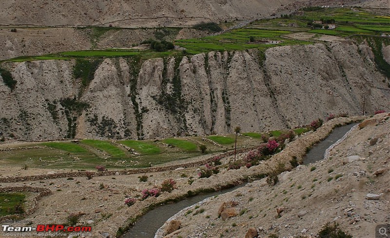 Ladakh- A family Holiday Pictorial!!-dsc05584.jpg