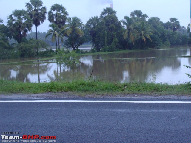 We dreamt it, we did it - Our 20 days family road trip to South in Black Tigress-dsc09340.jpg