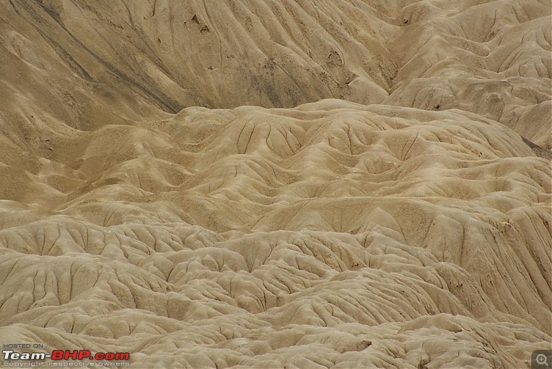 Ladakh- A family Holiday Pictorial!!-dsc05669.jpg