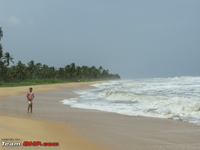 We dreamt it, we did it - Our 20 days family road trip to South in Black Tigress-dsc09512.jpg