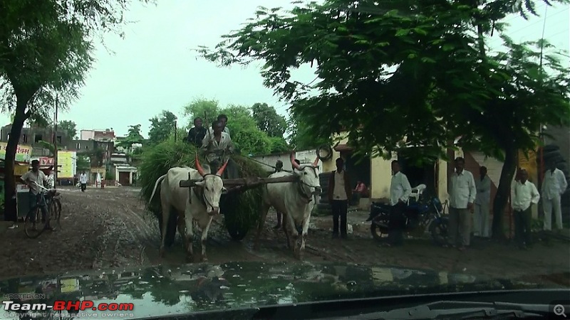 In Maharashtra's Beautiful Hinterland-20100807174103.jpg