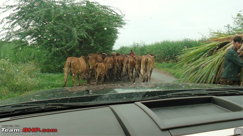 In Maharashtra's Beautiful Hinterland-dsc00098.jpg