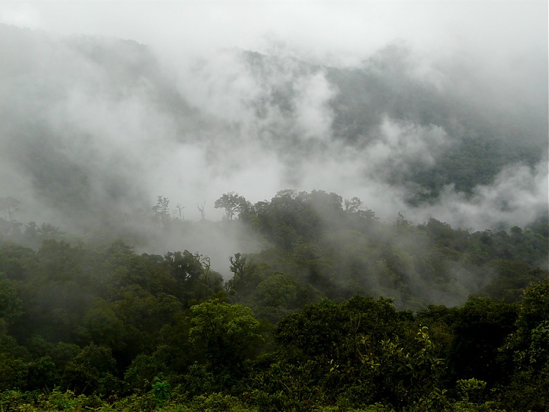 Our Coorg Sojourn-p1020208.jpg