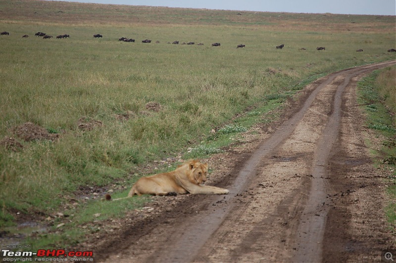 Africa - Endless Plains-270.jpg