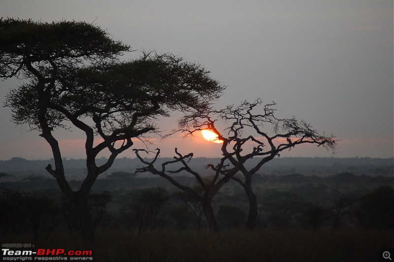Africa - Endless Plains-343.jpg