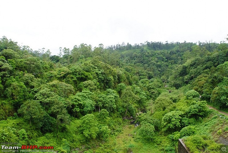 Valparai -> Famed route -> Kochi: Monsoon magic from ghats to beaches-nirar-1.jpg