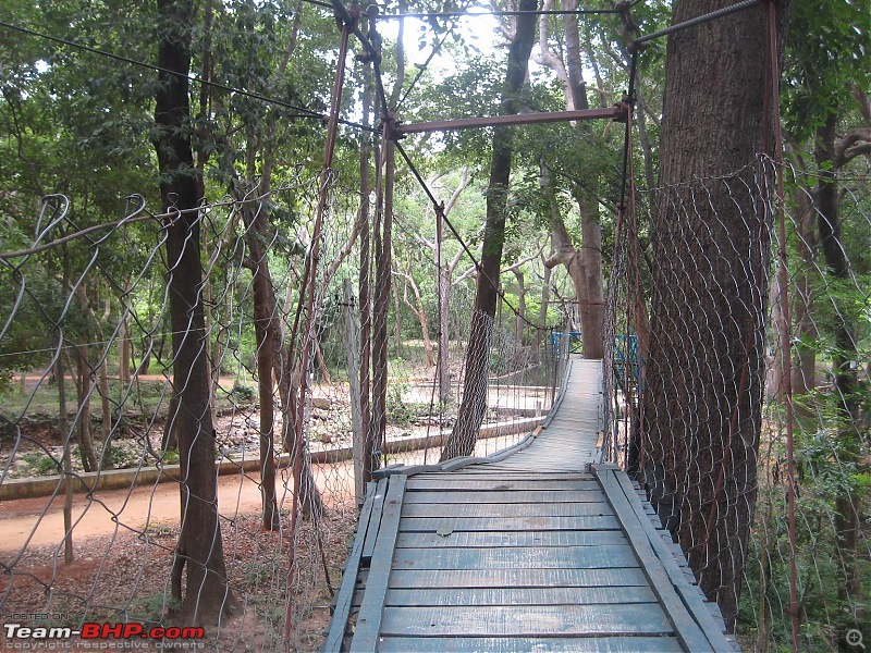 Chennai-Talakona-Kalyani Dam-Srikalahasti-Chennai-canopy1.jpg