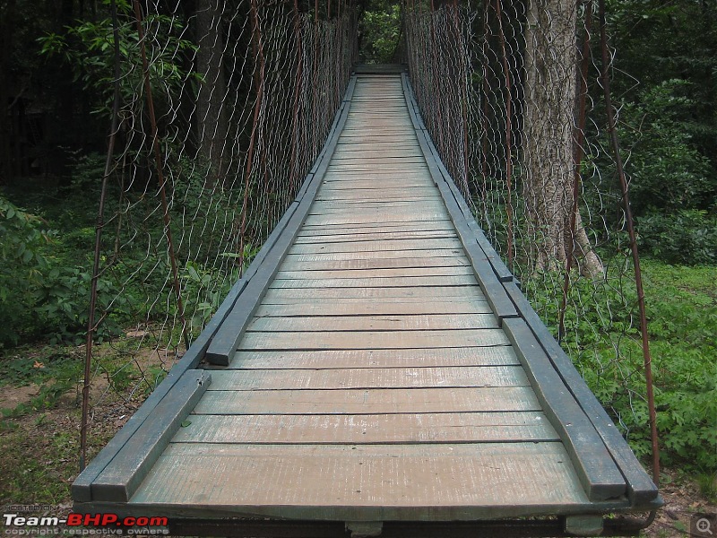 Chennai-Talakona-Kalyani Dam-Srikalahasti-Chennai-canopy5.jpg