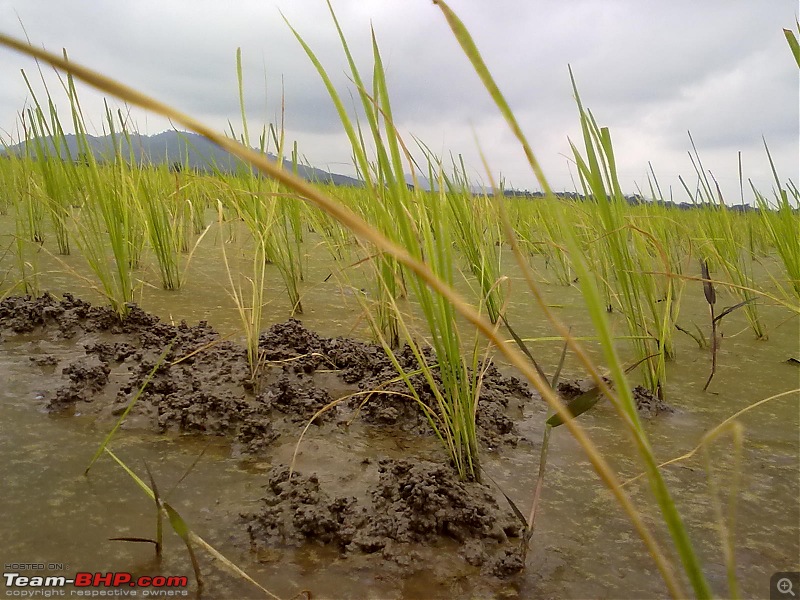 Guwahati getaways: Chandubi Lake-18072010186.jpg