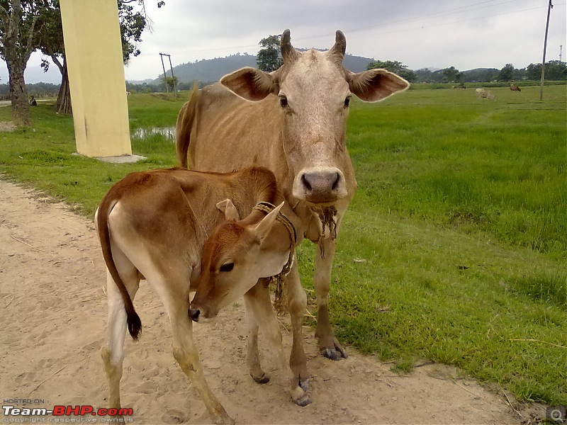 Guwahati getaways: Chandubi Lake-18072010194.jpg