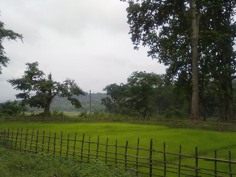 Guwahati getaways: Chandubi Lake-18072010239.jpg