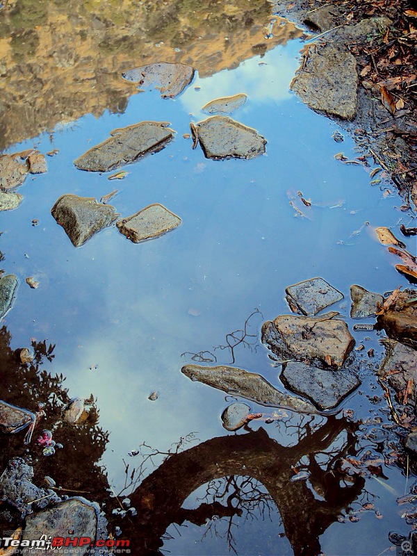 A walk in the clouds-reflecting.jpg